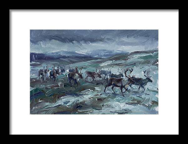 Caribou Migration In Winter
