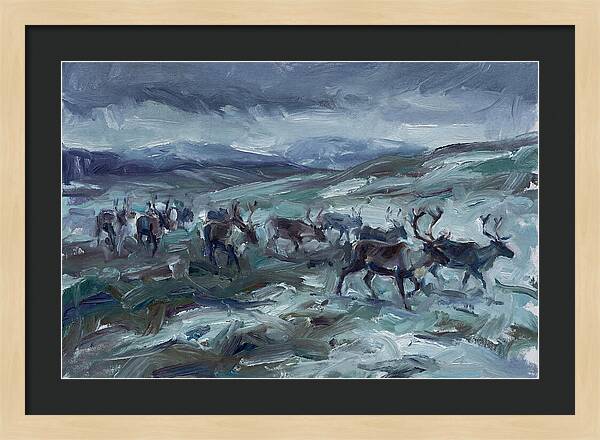 Caribou Migration In Winter
