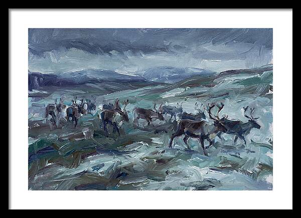 Caribou Migration In Winter