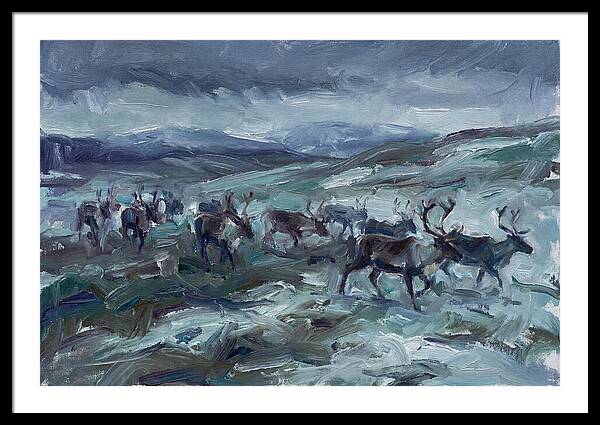 Caribou Migration In Winter