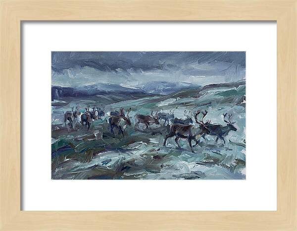 Caribou Migration In Winter