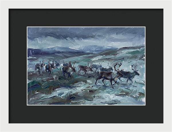 Caribou Migration In Winter