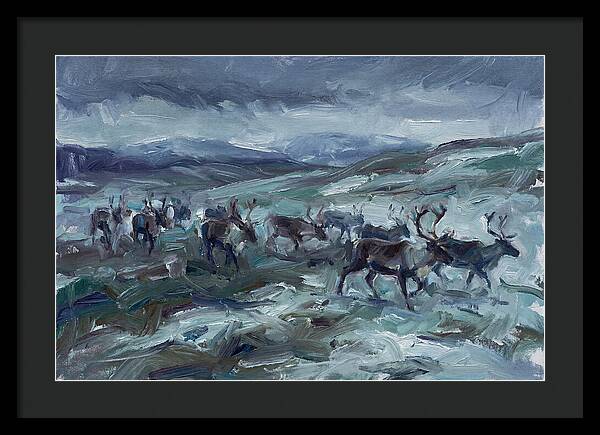 Caribou Migration In Winter