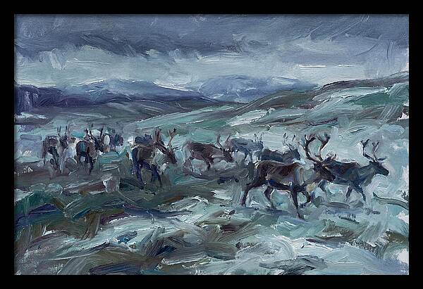 Caribou Migration In Winter