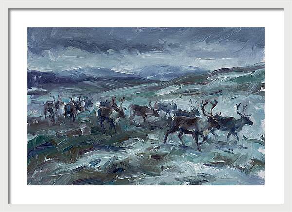 Caribou Migration In Winter