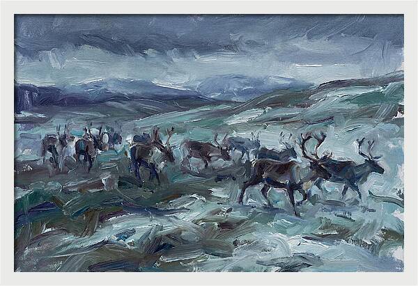 Caribou Migration In Winter