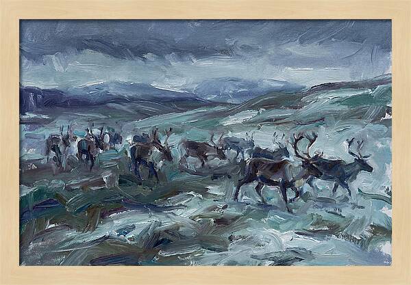 Caribou Migration In Winter