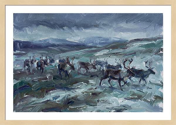 Caribou Migration In Winter