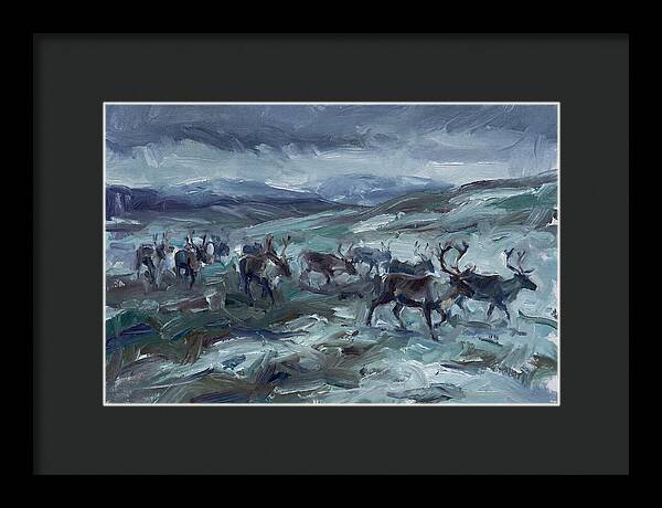 Caribou Migration In Winter