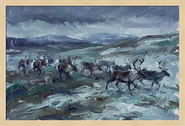 Caribou Migration In Winter