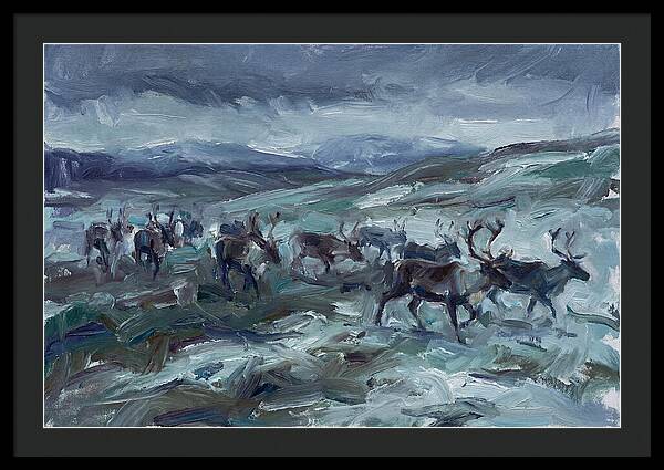 Caribou Migration In Winter