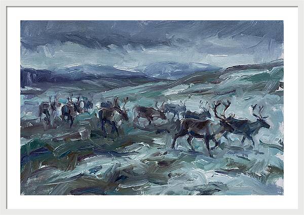 Caribou Migration In Winter