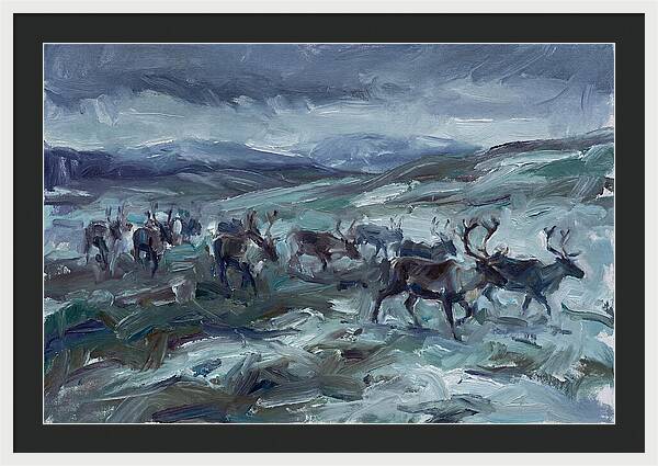 Caribou Migration In Winter