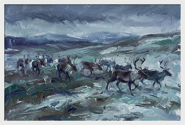 Caribou Migration In Winter
