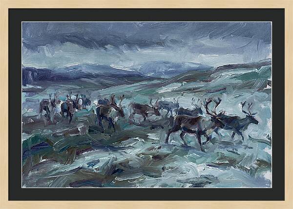 Caribou Migration In Winter