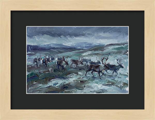 Caribou Migration In Winter