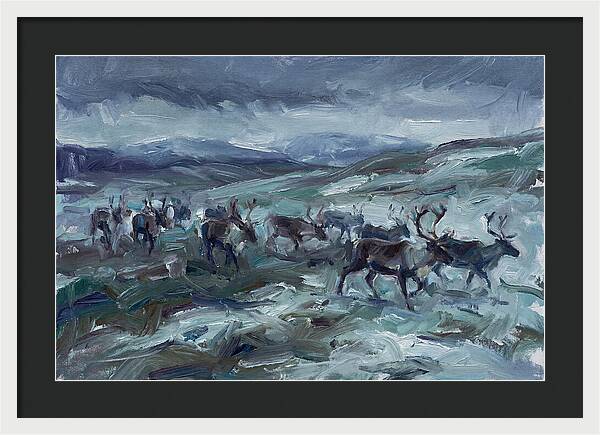 Caribou Migration In Winter