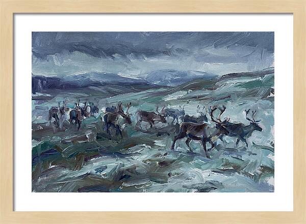 Caribou Migration In Winter