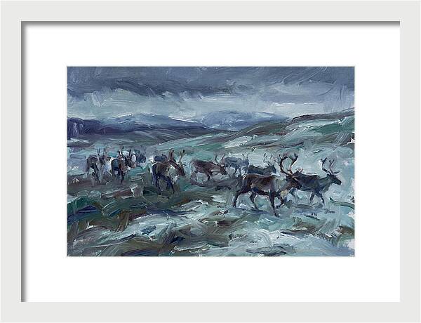 Caribou Migration In Winter