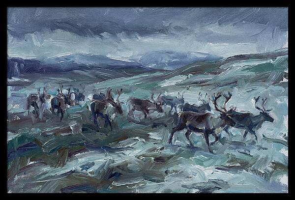Caribou Migration In Winter