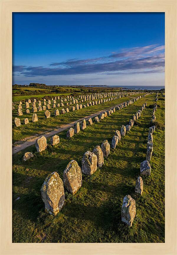 Carnac Standing Stones At Golden Hour