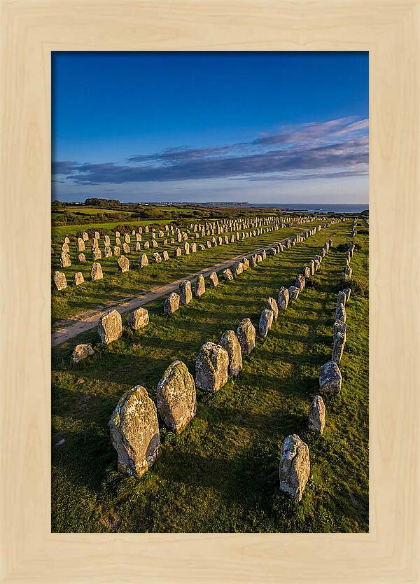 Carnac Standing Stones At Golden Hour