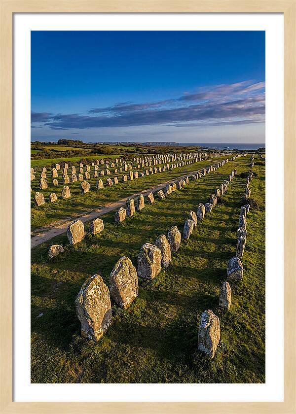 Carnac Standing Stones At Golden Hour
