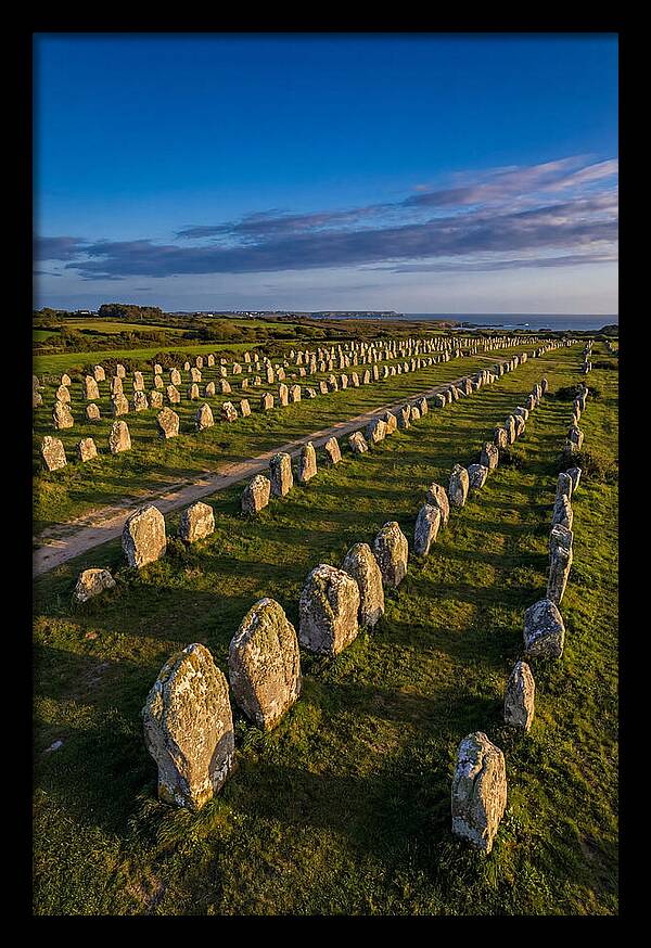 Carnac Standing Stones At Golden Hour