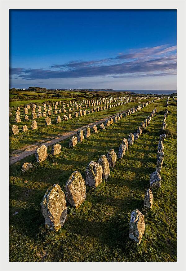 Carnac Standing Stones At Golden Hour