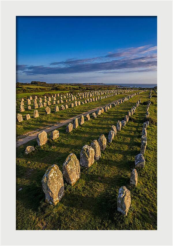 Carnac Standing Stones At Golden Hour