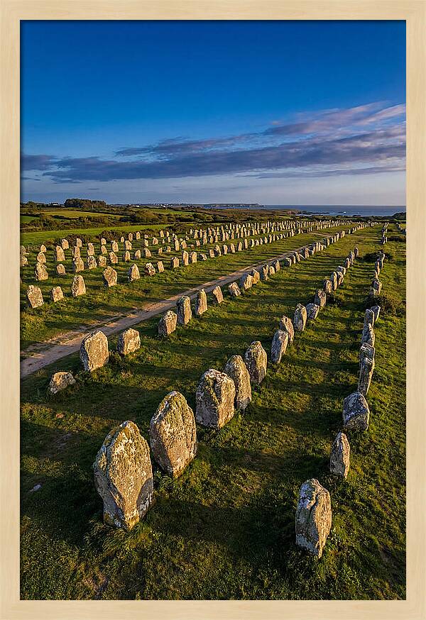 Carnac Standing Stones At Golden Hour