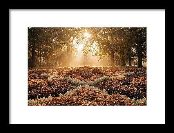 Carpet Bedding Display In Victorian Park