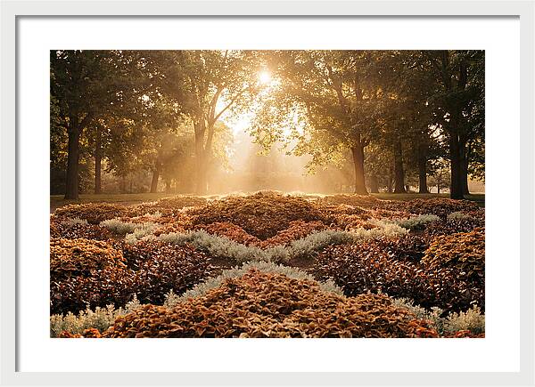 Carpet Bedding Display In Victorian Park
