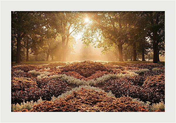 Carpet Bedding Display In Victorian Park