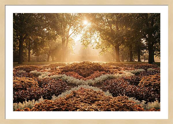 Carpet Bedding Display In Victorian Park