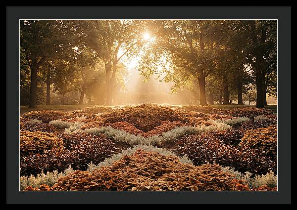 Carpet Bedding Display In Victorian Park