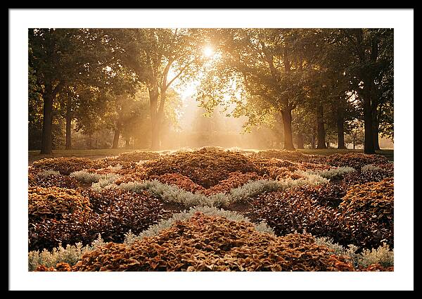 Carpet Bedding Display In Victorian Park