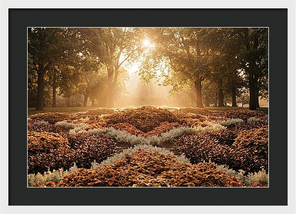 Carpet Bedding Display In Victorian Park