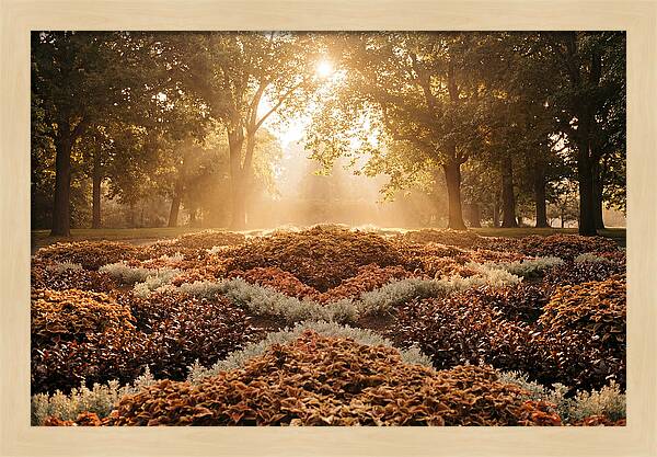 Carpet Bedding Display In Victorian Park