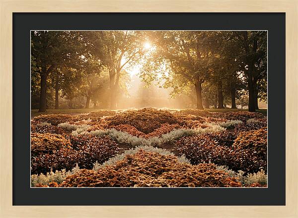 Carpet Bedding Display In Victorian Park