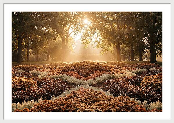 Carpet Bedding Display In Victorian Park