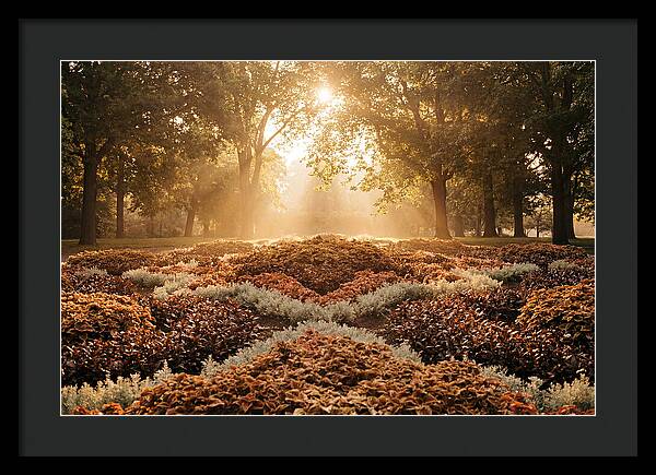 Carpet Bedding Display In Victorian Park