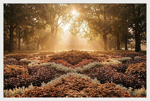 Carpet Bedding Display In Victorian Park