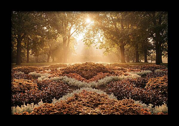 Carpet Bedding Display In Victorian Park