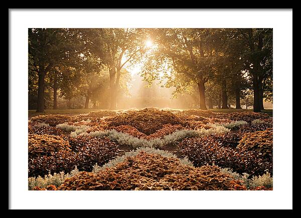 Carpet Bedding Display In Victorian Park