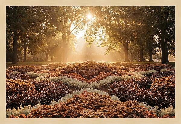 Carpet Bedding Display In Victorian Park