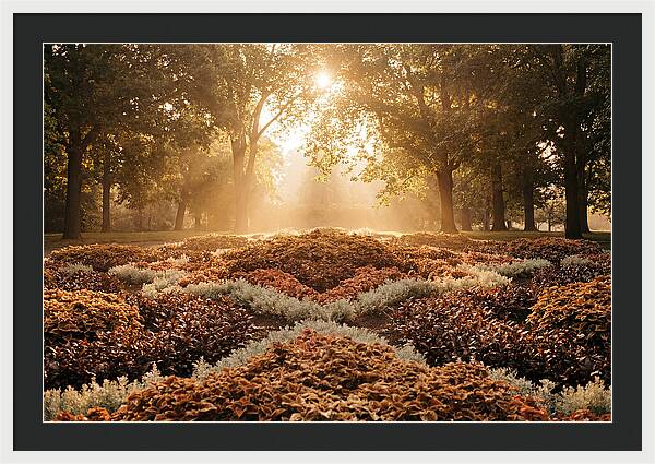 Carpet Bedding Display In Victorian Park