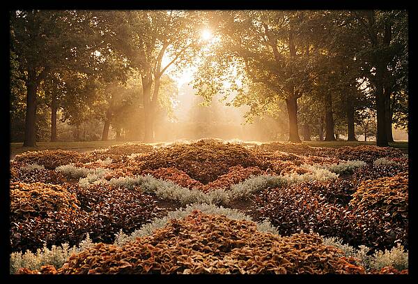 Carpet Bedding Display In Victorian Park