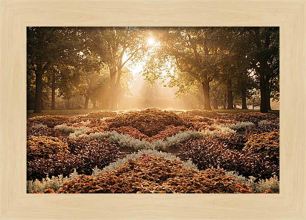 Carpet Bedding Display In Victorian Park