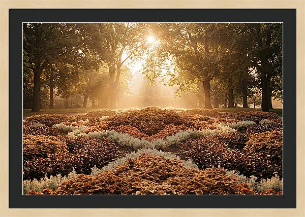 Carpet Bedding Display In Victorian Park